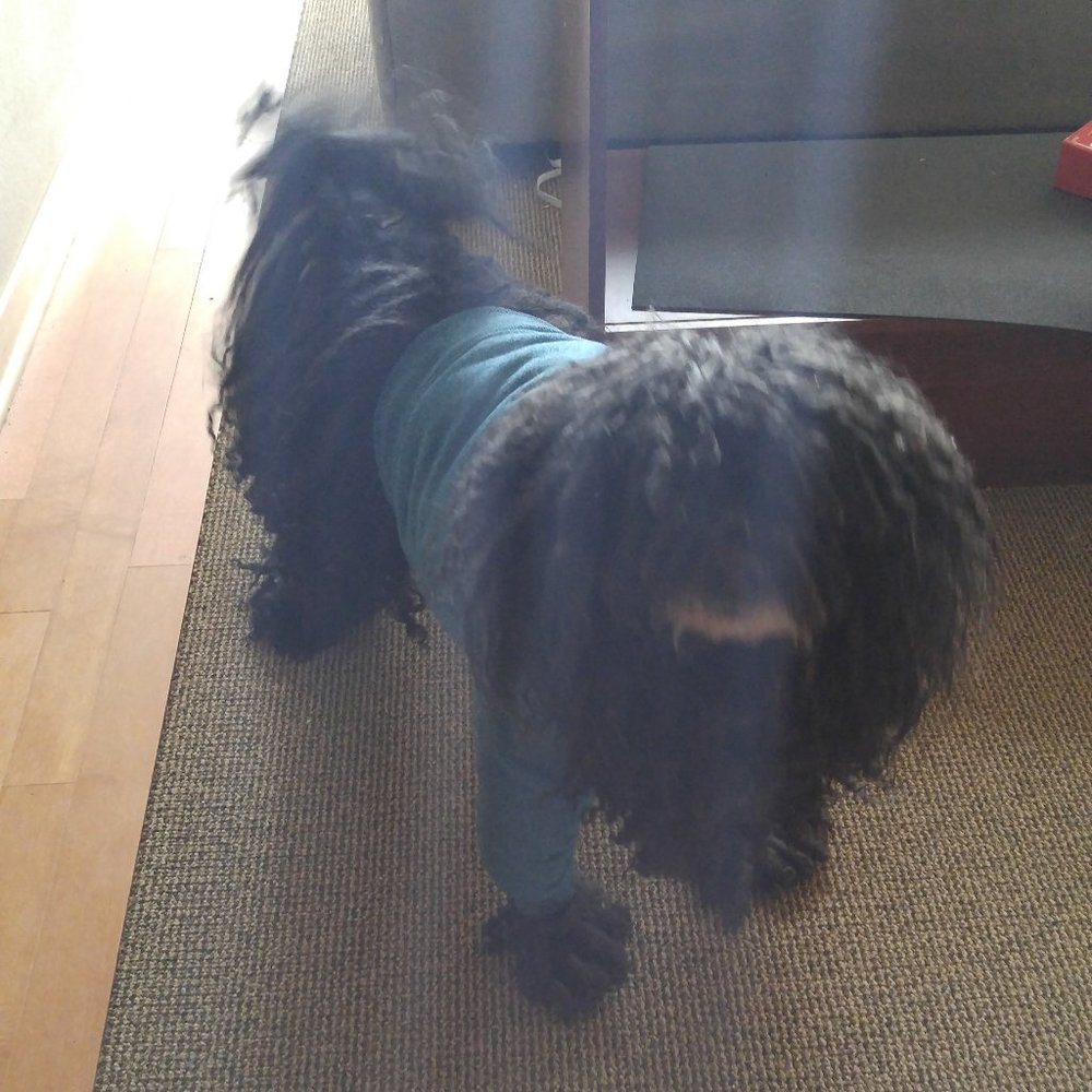 Meet your Posher, Eric